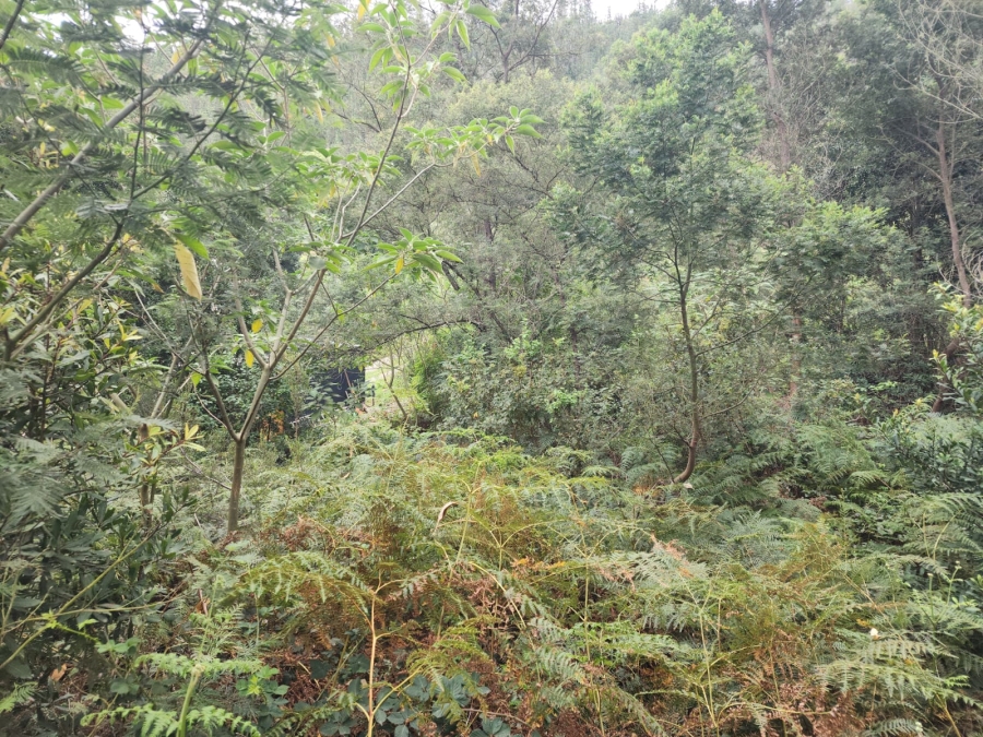 0 Bedroom Property for Sale in Suurbraak Western Cape